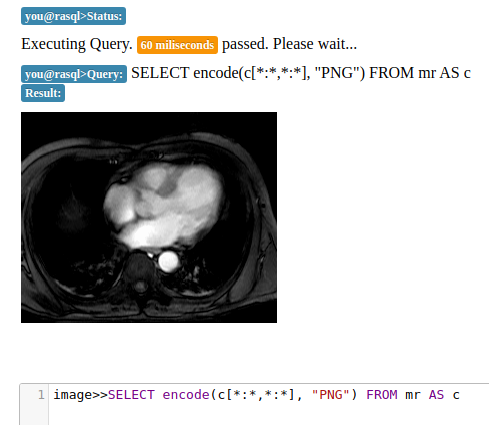 _images/rasql-web-console-example.png